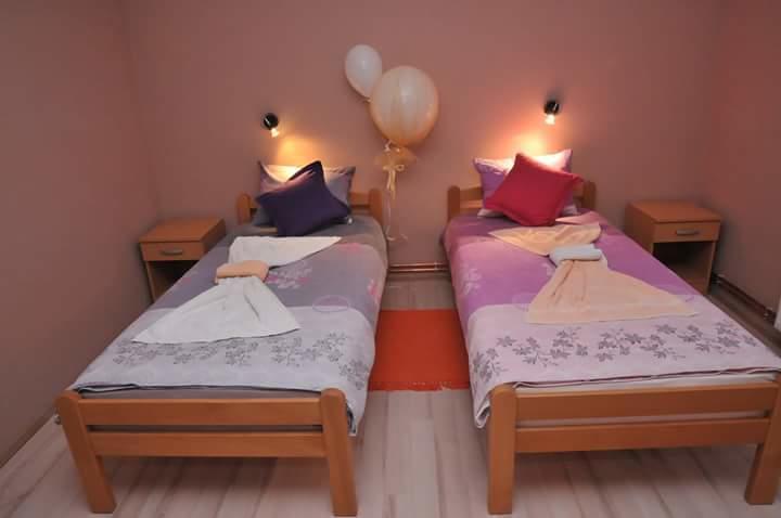 Apartmani "Roshu" Soko Banja Luaran gambar