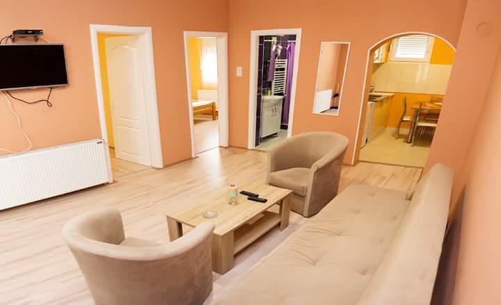 Apartmani "Roshu" Soko Banja Luaran gambar
